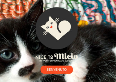 Nicetomicio.com. Sito web e motion graphic